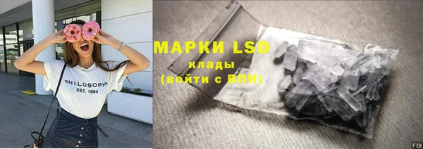 гашик Алексин