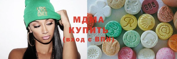 гашик Алексин