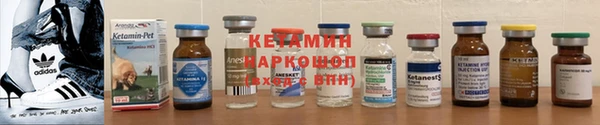 гашик Алексин