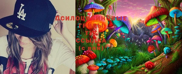 индика Алексеевка
