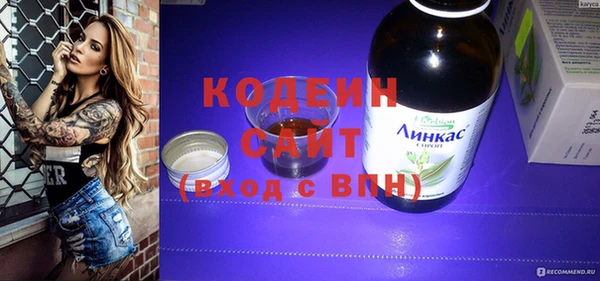гашик Алексин
