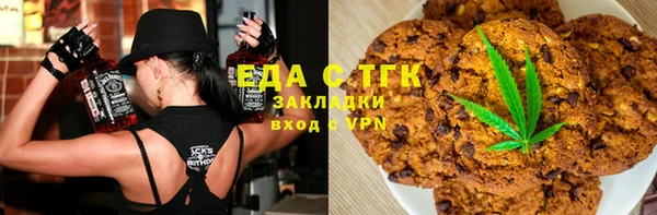 гашик Алексин