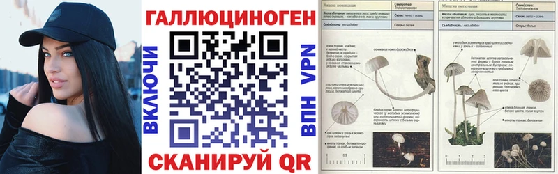 наркота Вихоревка Галлюциногенные грибы Magic Shrooms
